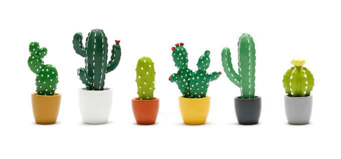 Cactus Fridge Magnets, Set of 6